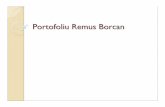 Portofoliu Remus Borcan - scoalaadc.ro Borcan.pdf · cartile de colorat: cu pomi, pasari pe care nu le vezi aici la bloc si ... Un cuplu de oameni adulti care tocmai intra ii aude