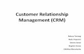 Customer Relationship Management (CRM) - Home - …andrei.clubcisco.ro/cursuri/f/f-sym/5master/aac-erp... · 2011-01-20 · PRODUCATOR CASTIG (mil $) COTA DE PIATA (%) SAP 2055 22.5