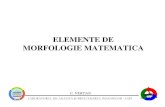 ELEMENTE DE MORFOLOGIE MATEMATICA - Laboratorul de Analiza ...imag.pub.ro/ro/cursuri/archive/08.pdf · Morfologia matematica Caracterizarea formei este rezultatul comparatiei (interactiunii,