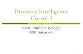 Business Intelligence Cursul 3 - sinf.ase.ro 3 master AACPI 2016.pdf · Analiza de trend pe perioade diferite de timp; ... multidimensionala asupra datelor, incusiv suport complet
