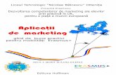 Aplicatii de marketing - erasmusltnb.files.wordpress.com · Dezvoltarea competențelor de marketing ale elevilor ... • proiect de educație, formare, integrare socio-profesională
