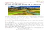 MONGOLIA – Taramul neatins de timp 27.08.2018 id10.pdf · Continuam calatoria spre Valea Orkhon, leaganul civilizatiei nomade, o intindere de aproape 122.000 de hectare de pasuni