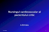 Nursingul cardiovascular al pacientului critic - spvg-bm.rospvg-bm.ro/files/64_Nursingul_cardiovascular_al_pacientului_critic.pdf · •Tulburari de ritm cardiac ... Competentele