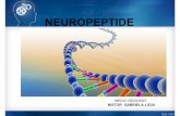 NEUROPEPTIDE - socola.eu. Neuropeptide - Dr Nistor... · mamifere. În timp ce receptorii Y1, Y2, Y4 și Y5 sunt funcționali la toate mamiferele, receptorul Y 6 este nefuncțional