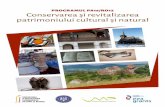 PROGRAMUL PA16/RO12 Conservarea ... - fonduri-patrimoniu… PATRIMONIU RO12.pdf · 4 conservarea și revitalizarea patrimoniului cultural și natural 5 Proiectul „Inițiativă de