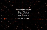 TOP 10 TRENDURI Big Databtprovider.com/wp-content/uploads/2017/08/Top-10-Trenduri-Big-Data... · 2. Organizațiile ... răspunsuri mai prompte. Înainte de a investi în personal,