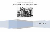Raport de activitate - Despre instituție institutie/Rapoarte... · Raport de activitate 2013 5 Perspectiva proceselor interne – obiectiv de realizat: implementarea sistemului de
