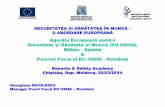 Agenția Europeană pentru Securitate și Sănătate în … · Securitate și Sănătate în Muncă (EU OSHA), Bilbao - Spania & Punctul Focal al EU OSHA - România ... Manager Punct