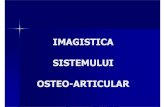 IMAGISTICA SISTEMULUI OSTEO-ARTICULAR - Seria 7seria7.weebly.com/uploads/4/0/8/5/4085189/os_1.pdf · plan curs 1. tehnici de explorare 2. noŢiuni de anatomie radiologicĂ normalĂ