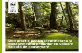 Cuprins - awsassets.panda.orgawsassets.panda.org/downloads/Ghid-pvrc-web.pdf · Specii de plante rare ameninţate periclitate şi endemice 60 ... Ghid Practic privind identificarea