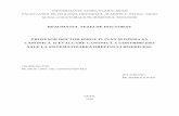 SALE LA SISTEMATIZAREA DREPTULUI BISERICESC Ro.pdf · Embaticul contract civil ... dreptului canonic ortodox, ... izvoarele dreptului canonic, ...