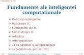 FUNDAMENTE ALE IC Fundamente ale inteligentei … · ۩ IC elimina nevoia de programare; ۩ Intr-un sistem, partea de IC este mult mai importanta dacat partea de pre-prelucrare a