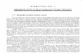 CAPITOLUL I - Facultatea de Istorie şi Filosofie a ...istorie.usm.md/wp-content/uploads/2014/04/capitolul-1.pdf · Capitolul I / Alfabetele slave vechi pe teritoriul ţărilor române