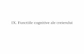 IX. Functiile cognitive ale creierului - biologie.kappa.ro · -functii superioare cognitive-limbaj-ratiune-planificare. Maduva spinarii Trunchiul cerebral-bulb-punte-mezencefal ...