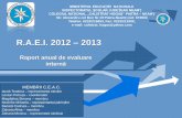 Arrows Blue Template - calistrathogas.ro CEAC 2012-2013.pdf · Raport anual de evaluare ... P35 Existenţa şi aplicarea procedurilor de autoevaluare ... la definitivarea unei poziții