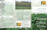Lemn energetic - energiepflanzen.com fileAlte plante energetice A început căutarea de alternative pentru preţiosul lemn rotund din păduri, datorită cererii susţinute ale industriei
