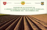 RAPORT DE ACTIVITATE AL CAMEREI AGRICOLE … de activitate CAJ 2012-2016.pdf · În ceea ce privește articolele apărute în presa on-line, se ... număr de 25 de apariții TV la