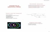 Programul genetic al zigotului Factorii materni Factori …bimogeum.ucoz.com/Genetica_umana/Rom/Genetica_dezvoltari.pdf · în embrion. 9 teratogeni: fizici chimici ... defect morfologic