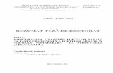 REZUMAT TEZĂ DE DOCTORAT - unap.ro doctorat rezumate/2014... · incheierea execuŃiei bugetare; controlul execuŃiei bugetului; ... executie pentru bugetul civil, militar şi cel