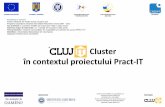 Cluster în contextul proiectului Pract-IT€¦ · Proiect cofinantat din Fondul Social European prin Programul Operaţional Sectorial Dezvoltarea Resurselor Umane 2007 – 2013 ...