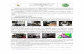Universitatea ˛Dunrea de Jos ˛ din Galaci Facultatea de ... mat.pdf · doctorat cu referire la: studiul neliniar elastic la structurilor formate din bare, ... - Sinus pentru msurat