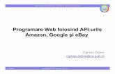 Programare Web folosind API-urile Amazon, Google şi …andrei.clubcisco.ro/cursuri/4pw/curs10.pdf · • Consuming Web Services with NetBeans ... Con ţinutul pachetului ... •