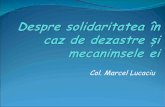 Col. Marcel Lucaciu - sfmc.eu M_ Lucaciu.pdf · UNDAC MEDIA. Nivelurile ... 2 0 5 10 15 20 25 30 35 2002 2003 2004 2005 2006 2007 2008 2009 Year Number of requests for assistance,
