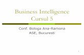 Business Intelligence Cursul 5 - sinf.ase.ro 5 master AACPI 2016.pdf · PDF fileBusiness Intelligence (vezi Cursul 1) What happened ? Standar d reports How many, how often, where