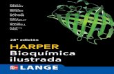 Libro de Harper - ONCOUASD | CATEDRA VIRTUAL … · Libro de Harper - ONCOUASD | CATEDRA VIRTUAL DE ONCOLOGIA: DR. YMAYA