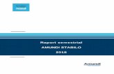 Raport semestrial AMUNDI STABILO 2018 - pioneerinvestments.ro complet 30.06.2018 Amundi... · net a scazut in primul semestru de la 574,7 milioane lei la 294,4 milioane lei. Situatia