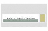 04 Microscopia electronică site - histology.ro · MICROSCOPUL ELECTRONIC Folosește un fascicul de electroni în locul unui fascicul de lumină. Studiul celulelor cu ajutorul ME