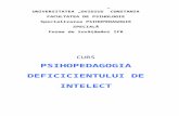 CUPRINS - Învățământ Special  · Web view- hidrocefalia (diferite forme, ... I. Druţu (1995, p. 38) enumera: neuro-infecţiile (meningite, encefalite), intoxicaţiile (cu CO,
