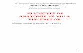 ELEMENTE DE ANATOMIE PE VIU A VISCERELORadmitere.usmf.md/wp-content/.../2013/...VIU-A-VISCERELOR-sem.-II-1.pdf · sonografia, tomografia computerizată, sialografia ( radiografia