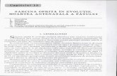 PDFB8C6 - Biblioteca Științifică Medicalălibrary.usmf.md/old/downloads/ebooks/Paladi_Obstetrica_patologica... · Incompatibilitatea în sistemul Rhezus, ABC), sistemele Kell,