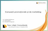 Campanii promoționale și de marketing - dobrinescudobrev.ro · venituri în avans programul de fidelizare permite evidenţa punctelor cadou Puncte cadou Pct. 25 (4) Norme