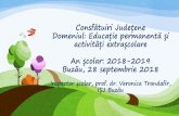 Consfătuiri Județene Domeniul: Educație permanentă și ... · aprobată cu OM nr. 4203/2018 privind modificarea Anexei nr. 1 a Ordinului ... prin cursuri de abilitare curriculară