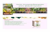 Asocieri de preparate fitoterapeutice pentru afecţiunile ... fileanason (Anisi fructus), frunze de măslin (Oleae folium), frunze de eucalipt (Eucalypti folium), rizomi de ghimbir