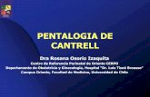 PENTALOGIA DE CANTRELL - cerpo.cl · PENTALOGIA DE CANTRELL Dra Rosana Osorio Izaquita Centro de Referencia Perinatal de Oriente CERPO Departamento de Obstetricia y Ginecología,
