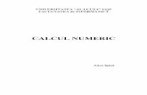 CALCUL NUMERIC - read.pudn.comread.pudn.com/downloads152/doc/667094/calculnumericID.pdf · 2 Descompunerea după valori singulare 94 Rezolvarea ecuaţiilor neliniare 96 Metoda bisecţiei