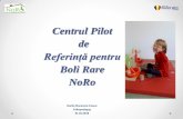 Centrul Pilot de - bolirareromania.roŽngrijire integrată la... · Centrul de Zi NoRo Serviciile sunt finanțate de Consiliul Local Zalău Consiliul Județean Sălaj Beneficiari