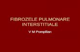 FIBROZELE PULMONARE INTERSTITIALE - Cristian Baicus · 2012-10-18 · CD4/CD8 N=1,5 • Stadii histol ale alveolitei: 1) ... •Biopsie-tes granulomatos;1/2-bronsiolita ... imun:lf