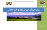 Strategia de dezvoltare a orasului Borsa-Maramures · m3, un consum relativ redus faţă de celelalte regiuni, reprezentând puţin peste 8% din gazele naturale distribuite la nivel