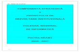 COMPONENTA STRATEGICĂ - cni.nt.edu.rocni.nt.edu.ro/new/wp-content/uploads/2011/09/PDI-CNI-2013-2017.pdf · pag. 1 nr. 2962/ 16.10.2013 componenta strategicĂ a proiectului de dezvoltare
