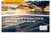 SUMMER PRACTICE PROJECTS 2019 IAȘI · At the end of the internship period the student should be able to follow and handle an entire system engineering process chain, from concept