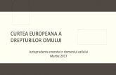 CURTEA EUROPEANA A DREPTURILOR OMULUI - aidrom.ro · articolului 8 din CEDO, deoarece el a locuit în Grecia timp de 12 ani cu un statut incert. SA a susținutcăel s-ar confrunta