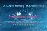 A.N. Apele Romane – D.A. Somes-Tisa Somesul MareII.pdfPagube produse la viituri in b.h. Somesul Mare in perioada 1991-2003. Nr. Crt. Obiective afectate