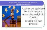 Carta drepturilor fundamentale a Uniunii Europene în practică · europeană pentru apărarea drepturilor omului şi a libertăţilor fundamentale, ... juridica Vezi cauzele ...