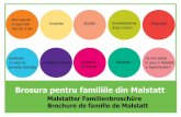 Brosura pentru familiile din Malstatt - Die ZAMzam-malstatt.de/images/download/FBRumnischi.pdf · Brosura pentru familiile din Malstatt Malstatter Familienbroschüre Brochure de famille