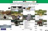 CAIET DE HABITATE - natura2000.ro · 5 AVERTISMENT Cititorului Acest Caiet de Habitate úi Specii este un manual de interpretare úi gestionare al speciilor úi habitatelor. Scopul
