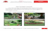 Tipuri de grădini ornamentale - Vanguard Strategy · Ca să începem proiectarea unei asemenea grădinii trebuie luat în vedere câteva aspecte : Ce condiţii sunt în grădină